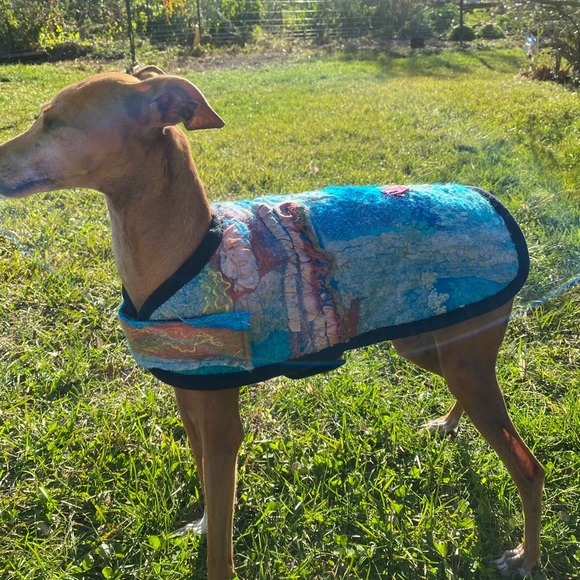 Nuno Felted wool & silk dog coat - Picture 4 of 6